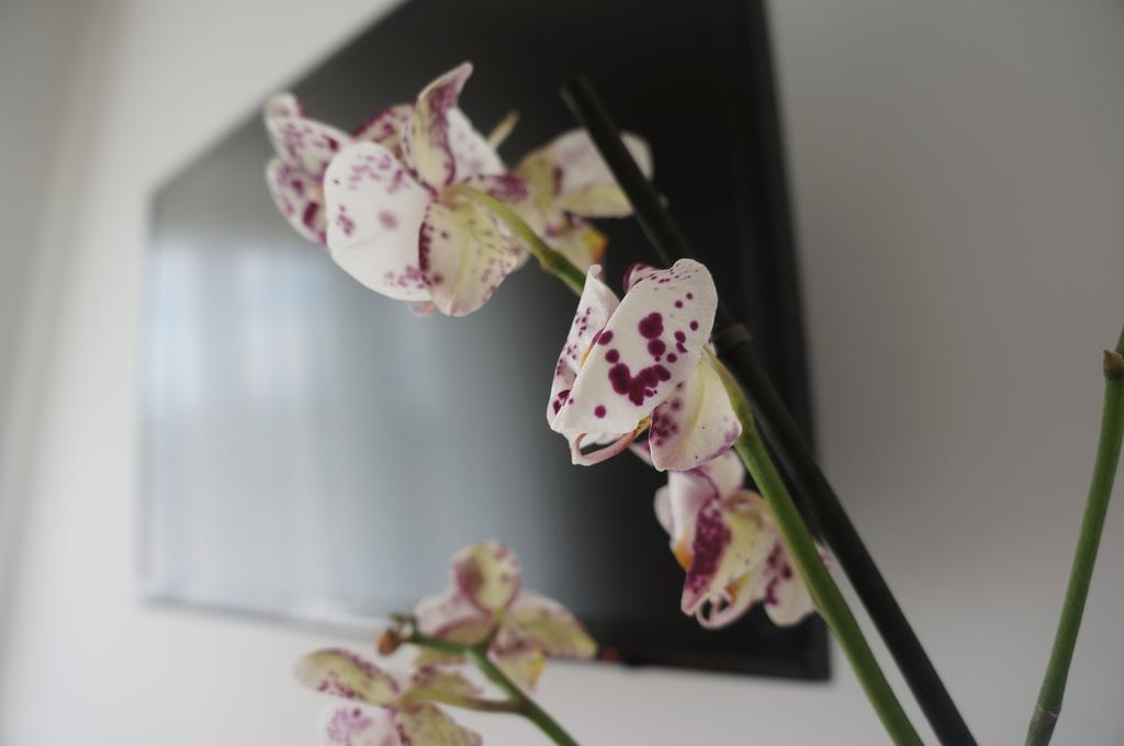 Lullymia Bed & Breakfast Crotone Bagian luar foto